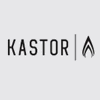Камины Kastor / Кастор отзывы