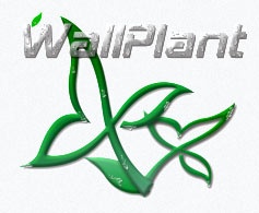 Компания Wallplant отзывы